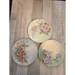 Bavarian Set Of 3 Hand Painted Floral Decorative Plates